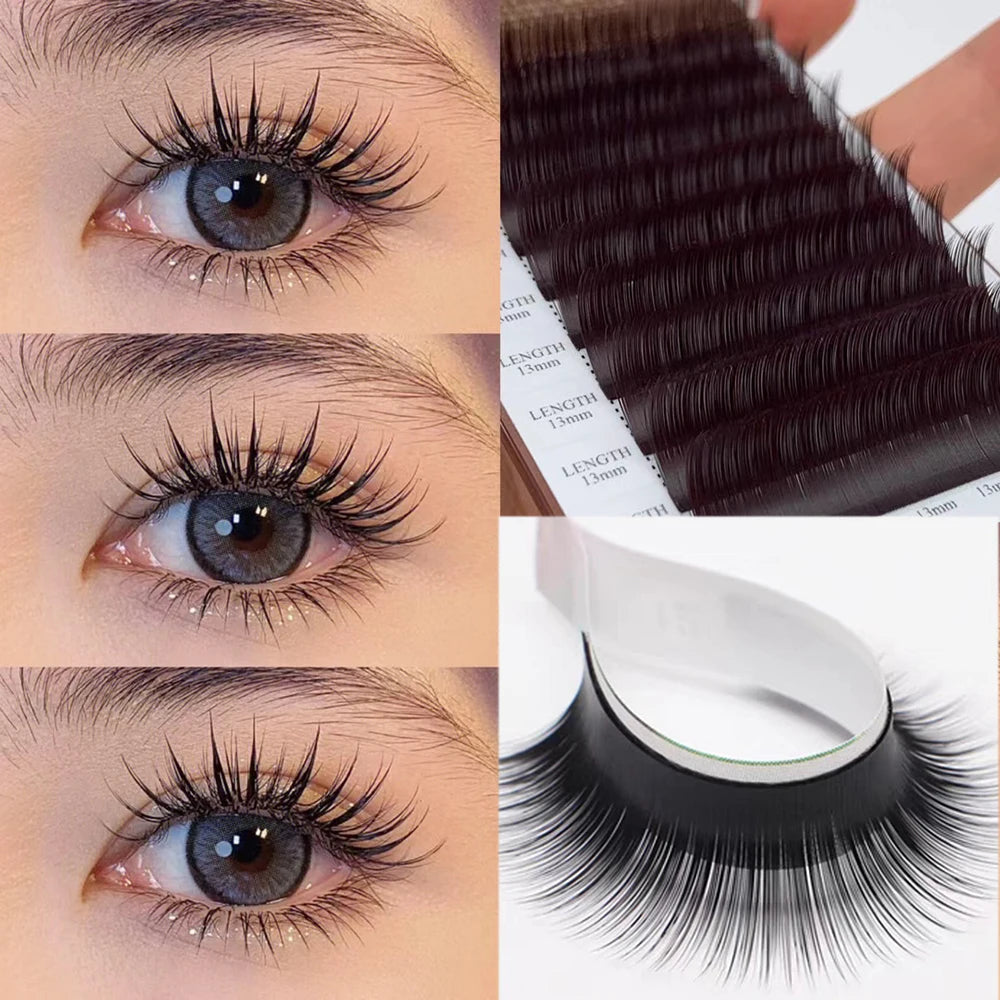 Camellia False Eyelash Extension